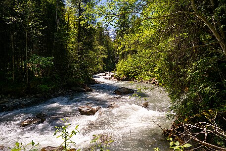 Cholerenschlucht null