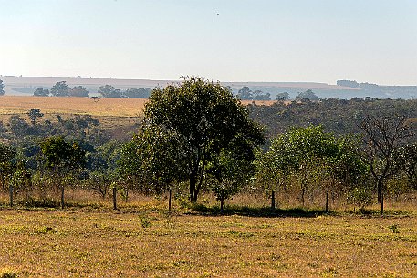 Brasil | Pirinopolis