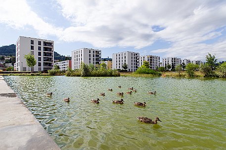 Liebefeld Park | Köniz BE