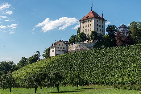 Schloss Heidegg Ende 15. Jahrhundert lösten Stadtluzerner Ratsfamilien die adligen Besitzer ab: Die Hasfurter, Tammann, Hug, Kündig, Fleckenstein, Pfyffer. Während der...