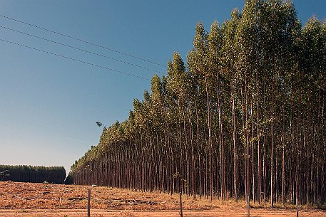 Brasil | Pirinopolis