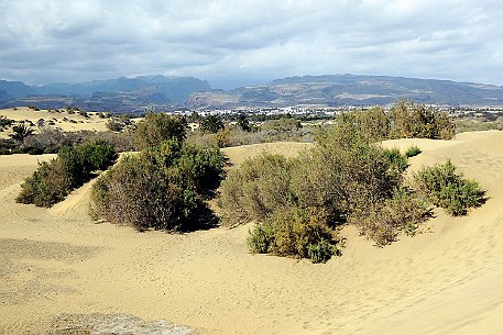 Gran Canaria - Dunas de Maspalomas