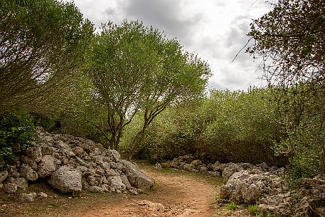 Menorca | Torralba