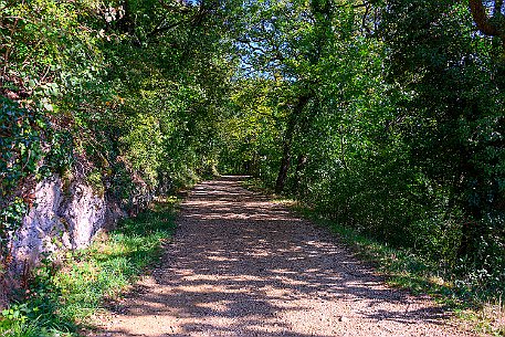 Rebenweg Biel